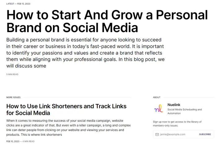Nuelink's blog screenshot