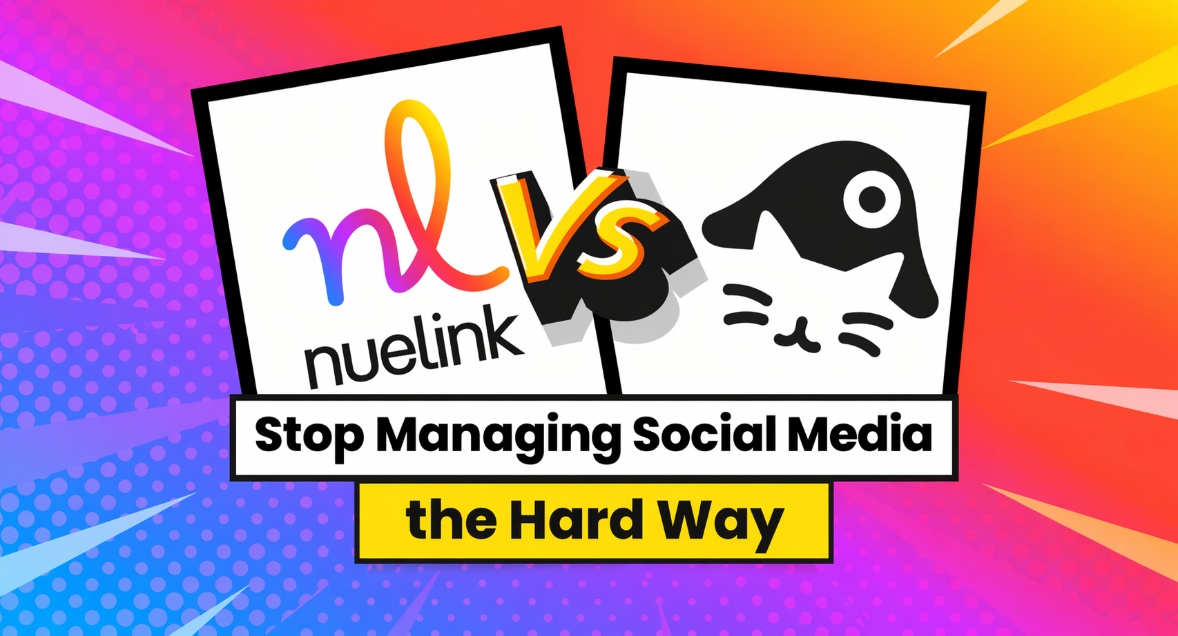 Nuelink vs NapoleonCat