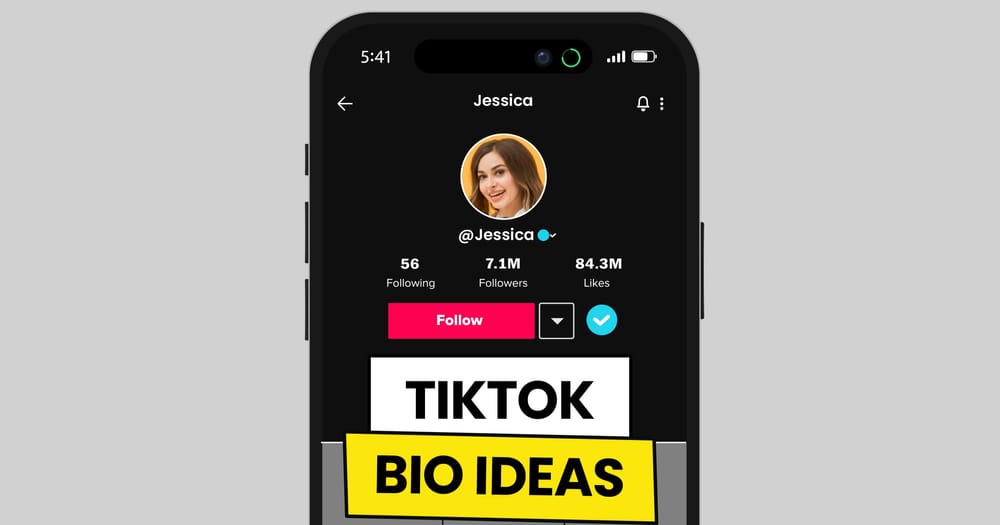 TikTok Bio Ideas: How to Write the Perfect TikTok Bio (With Examples) post image